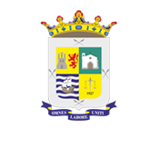 Ayuntamiento de La Aldea de San Nicolás. Escudo